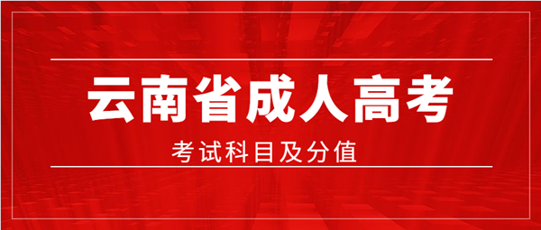 2020年云南省成人高考考试科目及分值